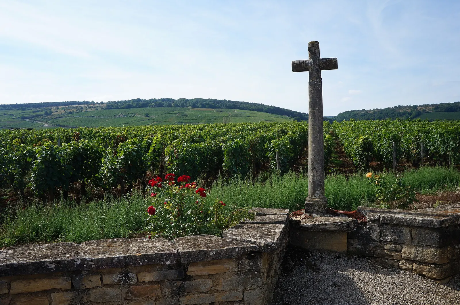 The stone cross of La Romanée-Conti among the vines, with the Vosne-Romanée slope behind