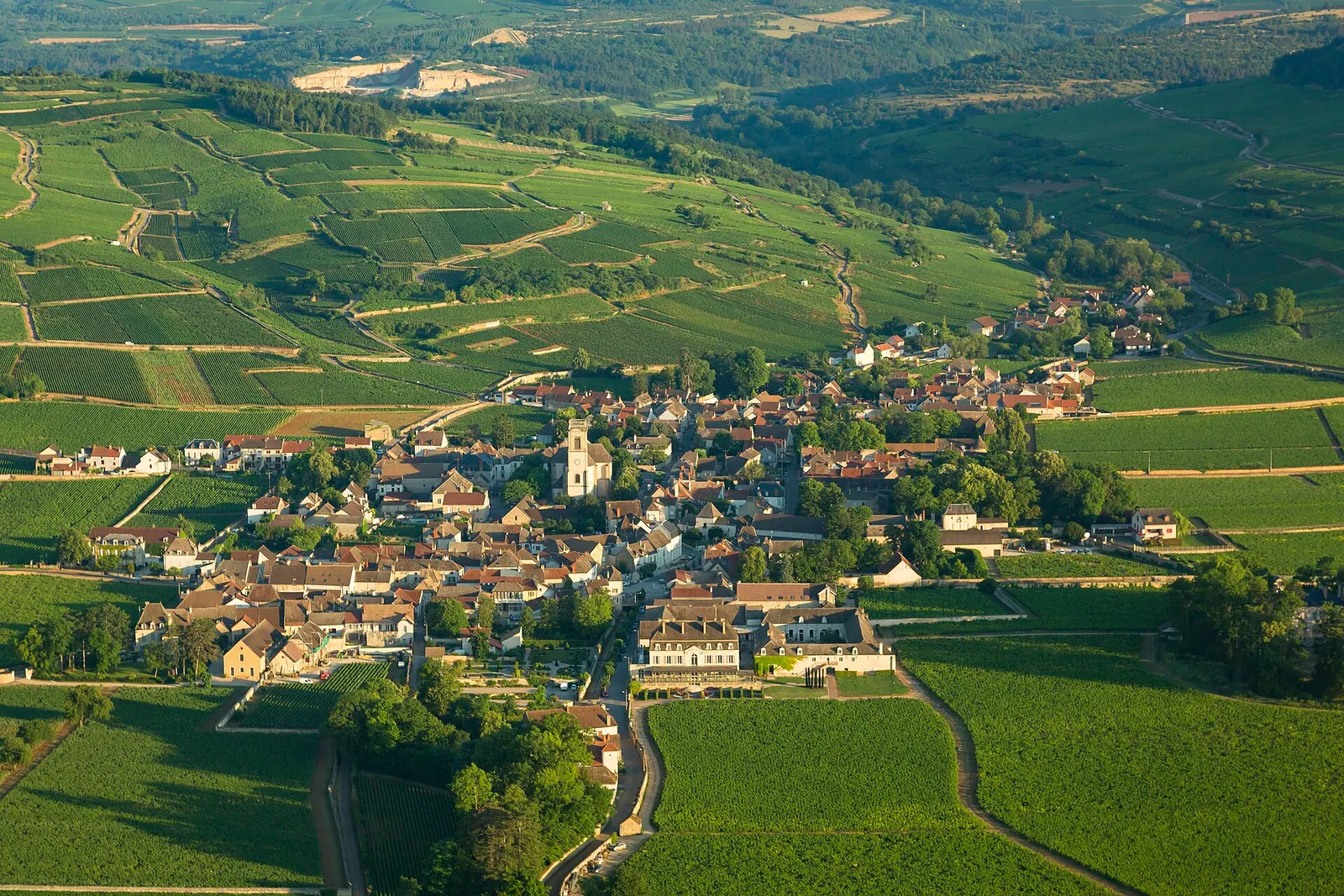 The village of Pommard among its vineyards, seen from above in the evening light